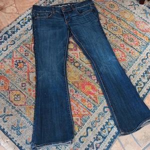 AE Artist Cut Jeans